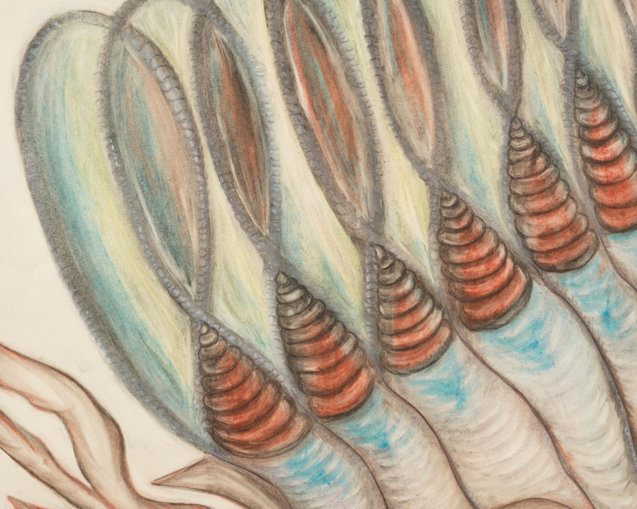 Lesley Vance &amp; Anna Zem&aacute;nkov&aacute;