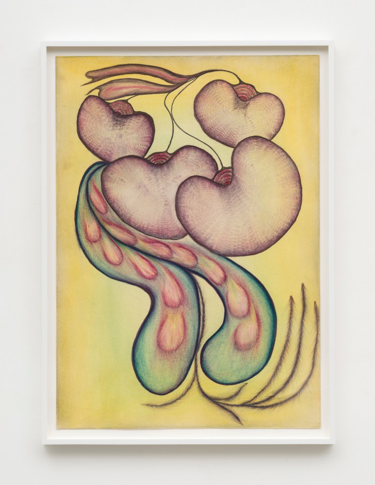 Lesley Vance &amp; Anna Zem&aacute;nkov&aacute;