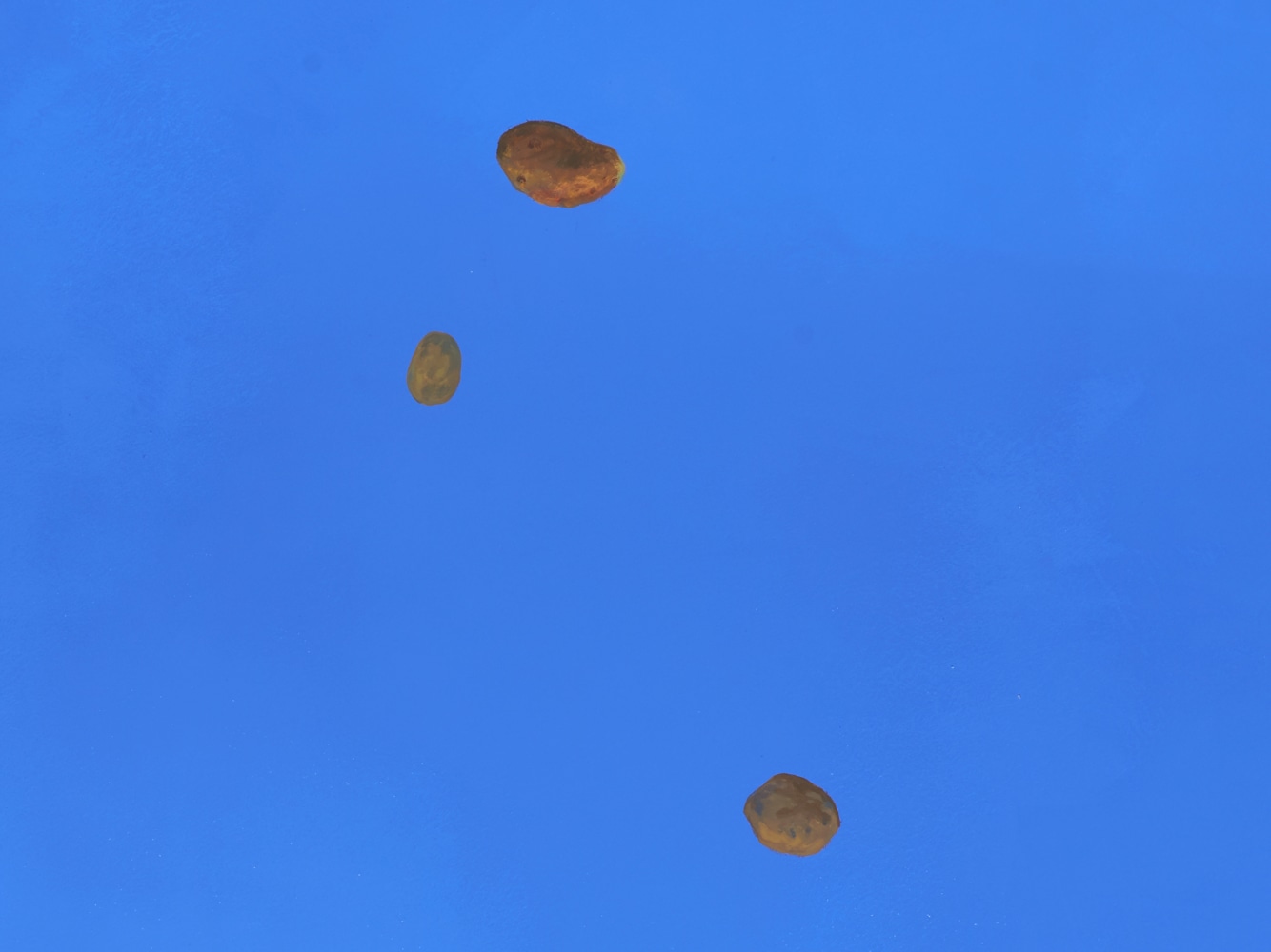 Installation view of&amp;nbsp;Andrea B&amp;uuml;ttner: The Heart of Relations&amp;nbsp;at Hollybush Gardens, London&amp;nbsp;(2019). Photo by Andy Keate