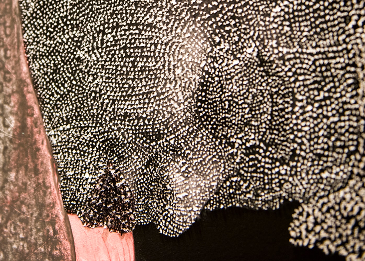 Listening for the Unsaid