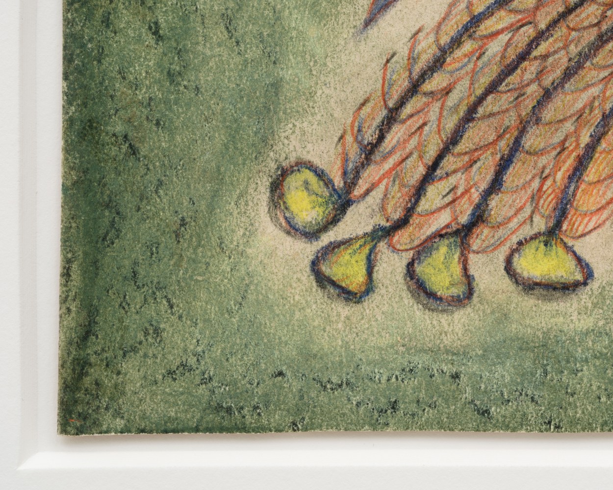 Lesley Vance &amp; Anna Zem&aacute;nkov&aacute;