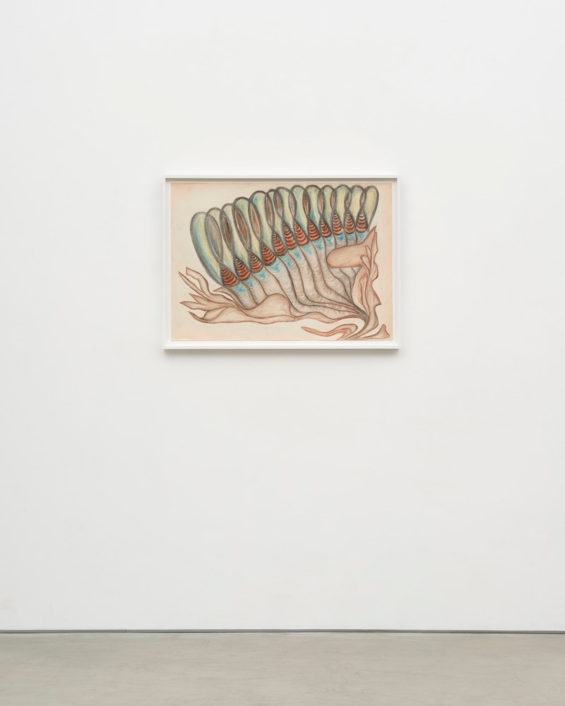 Lesley Vance &amp; Anna Zem&aacute;nkov&aacute;