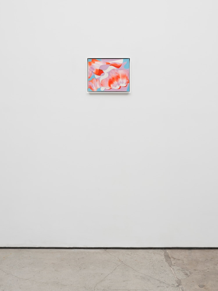 Lesley Vance &amp; Anna Zem&aacute;nkov&aacute;