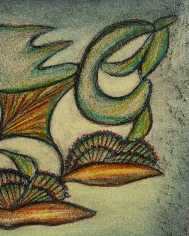 Lesley Vance &amp; Anna Zem&aacute;nkov&aacute;