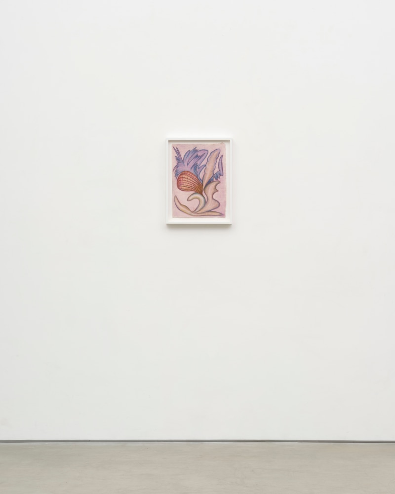 Lesley Vance &amp; Anna Zem&aacute;nkov&aacute;