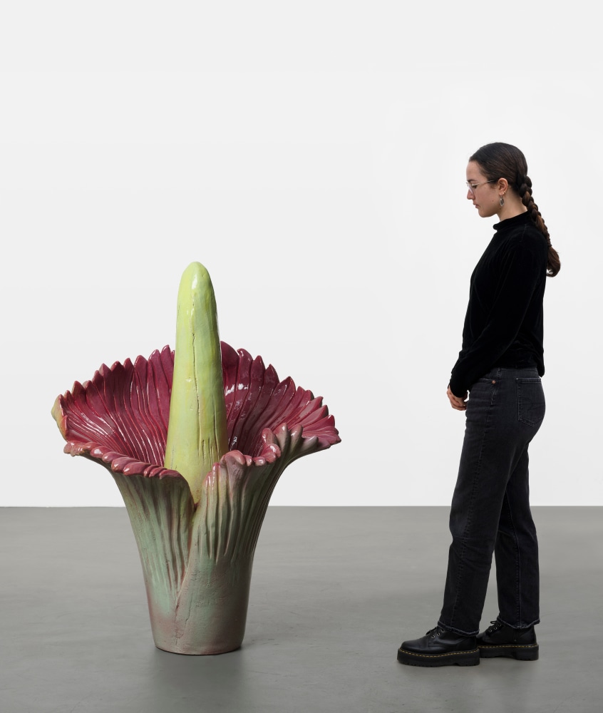 Frieze New York Preview