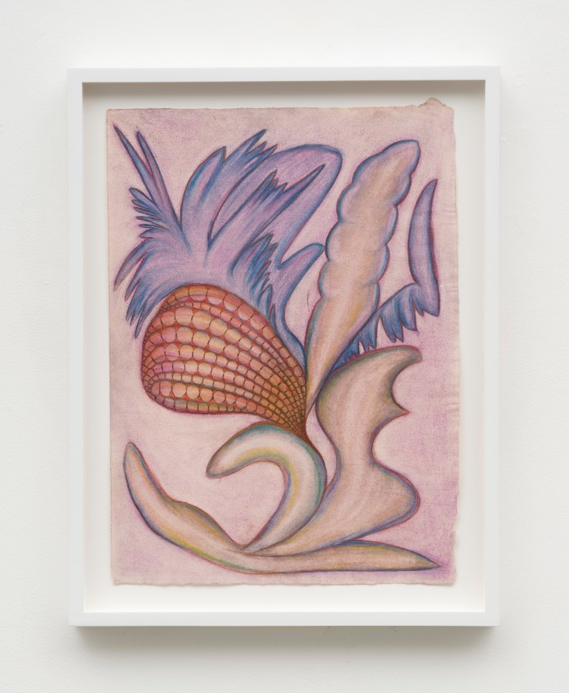 Lesley Vance &amp; Anna Zem&aacute;nkov&aacute;