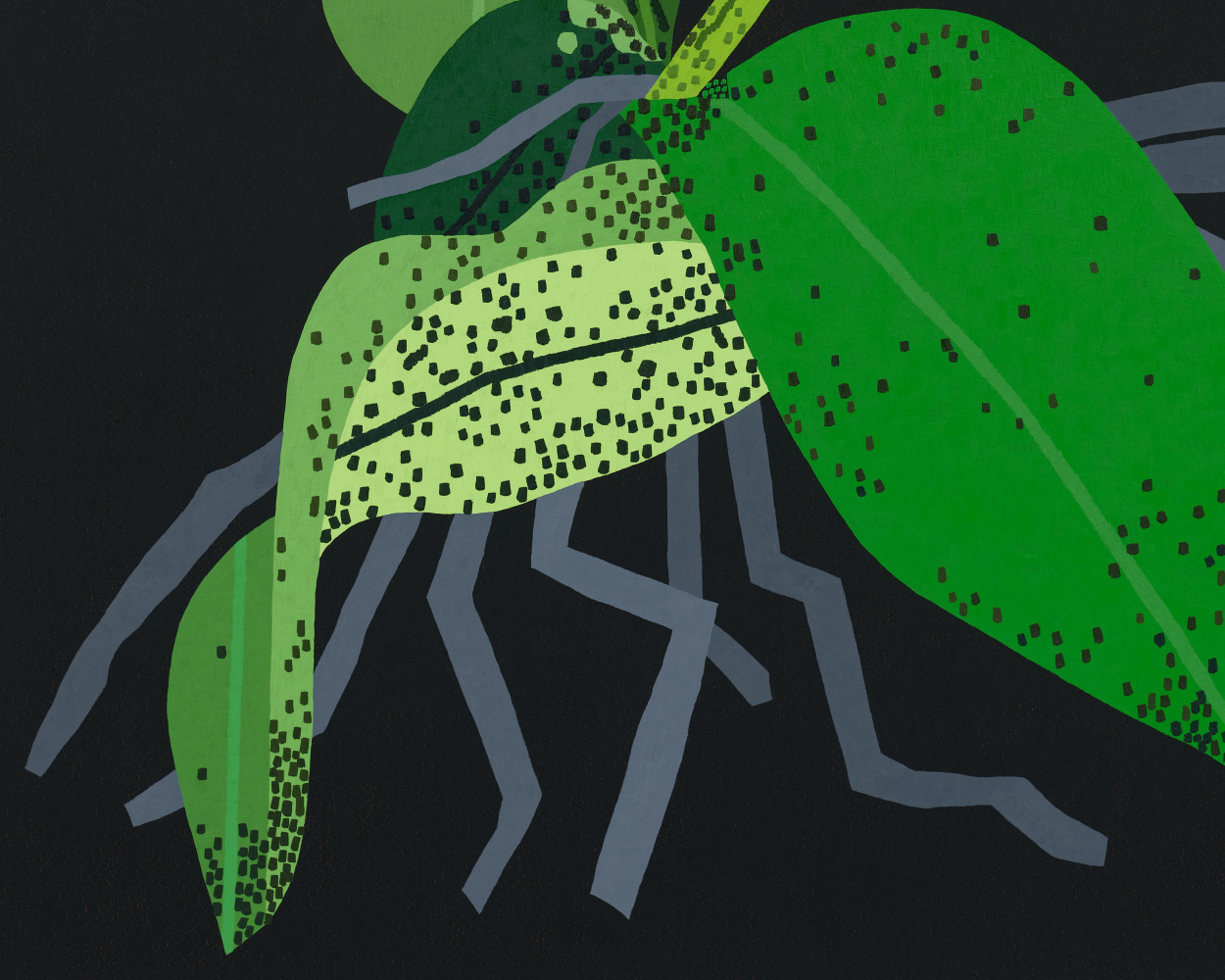 Art Basel Miami Beach 2021