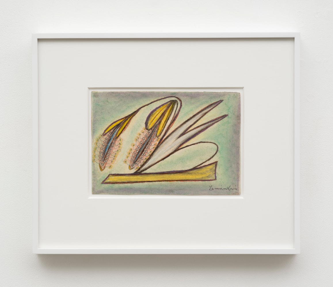 Lesley Vance &amp; Anna Zem&aacute;nkov&aacute;