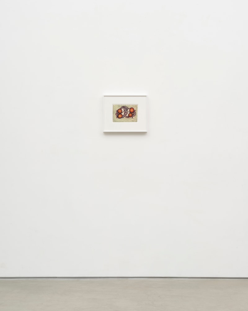 Lesley Vance &amp; Anna Zem&aacute;nkov&aacute;