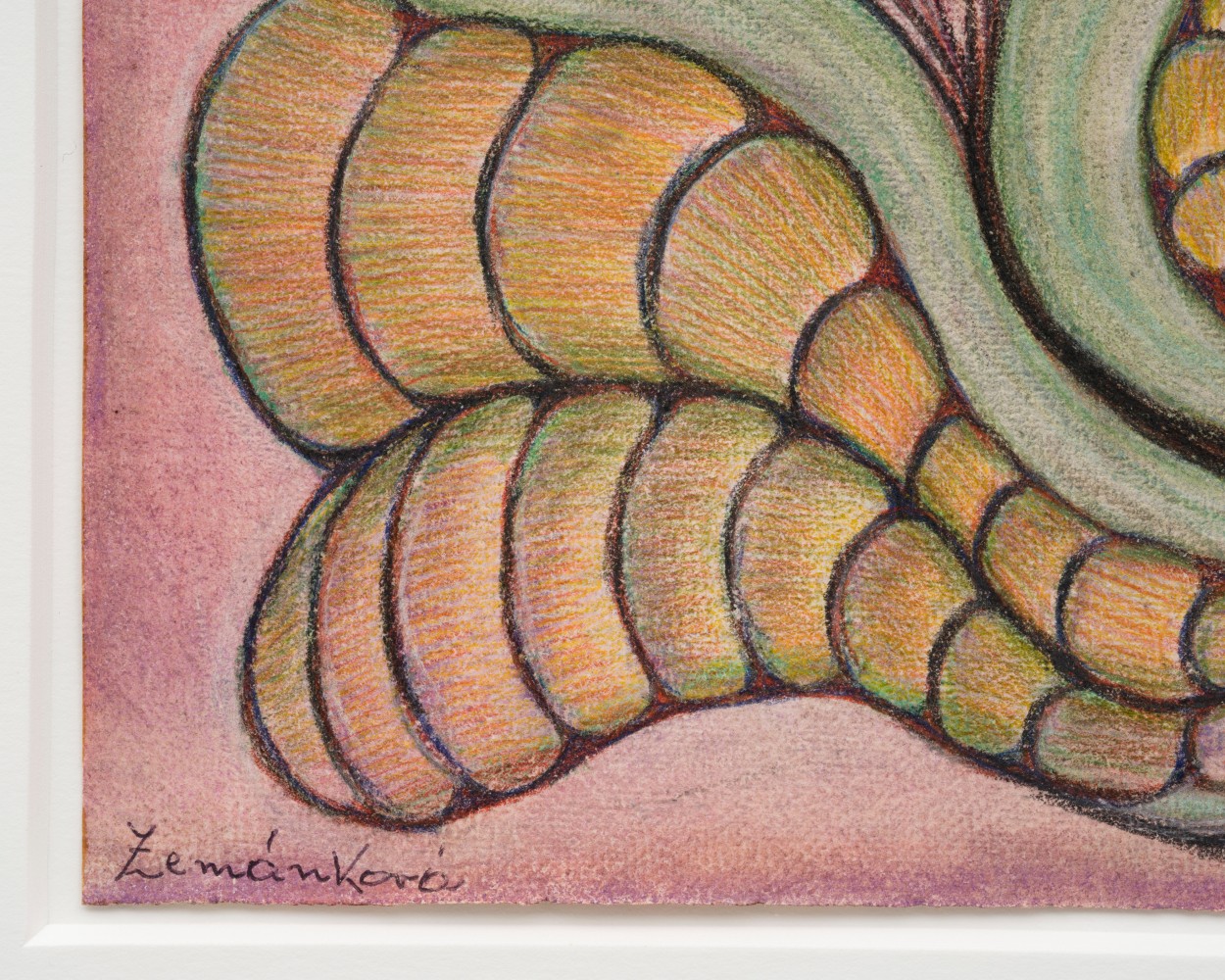 Lesley Vance &amp; Anna Zem&aacute;nkov&aacute;