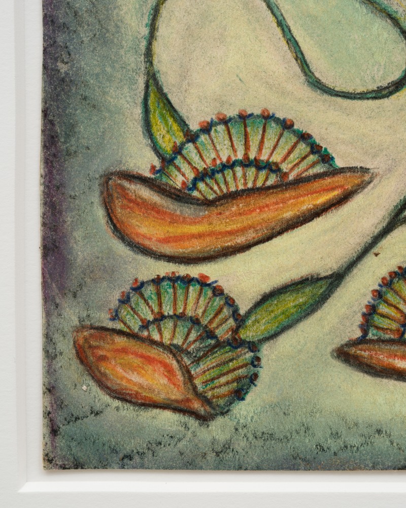 Lesley Vance &amp; Anna Zem&aacute;nkov&aacute;