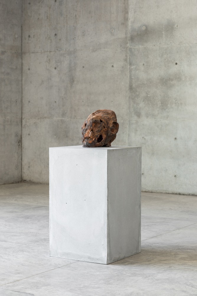 Huma Bhabha