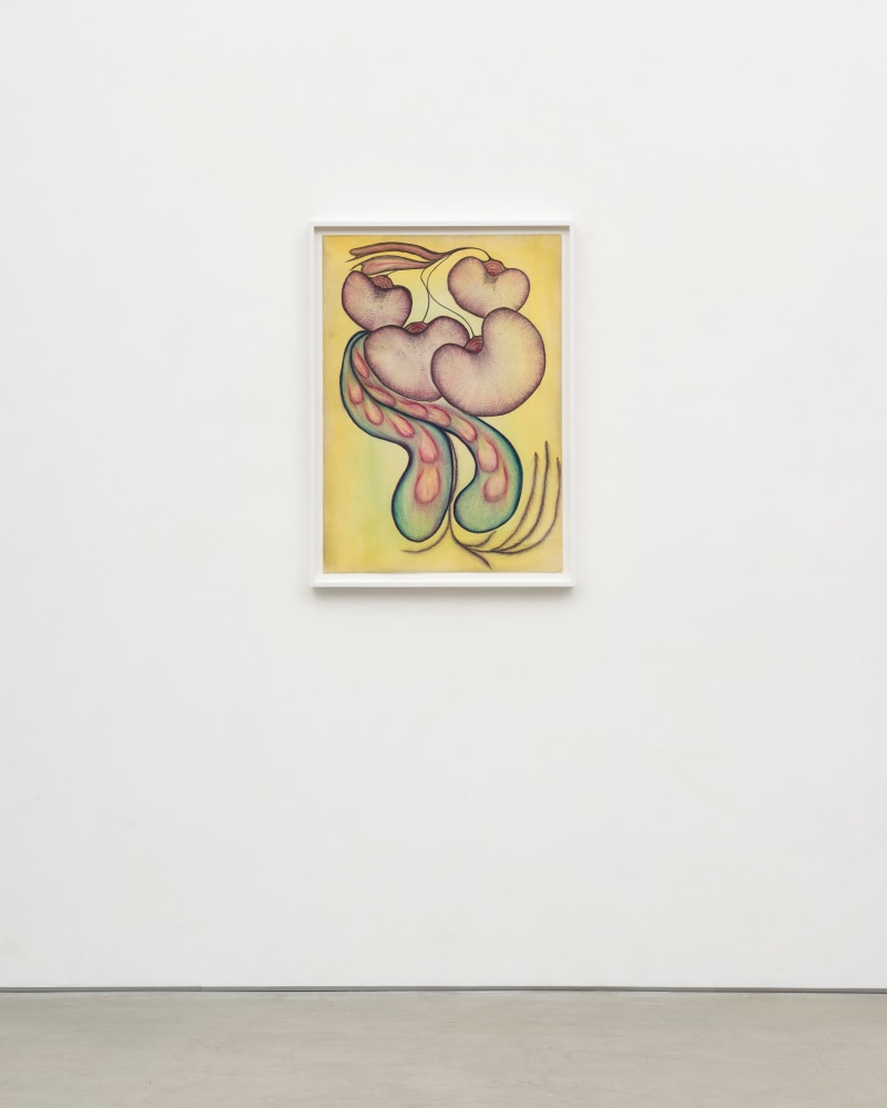 Lesley Vance &amp; Anna Zem&aacute;nkov&aacute;