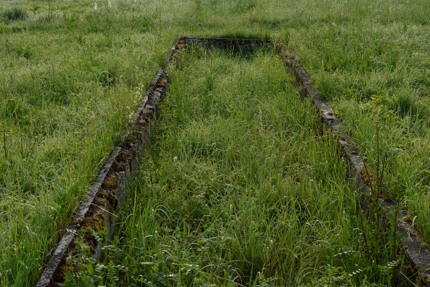 Firsthand: Andrea B&uuml;ttner