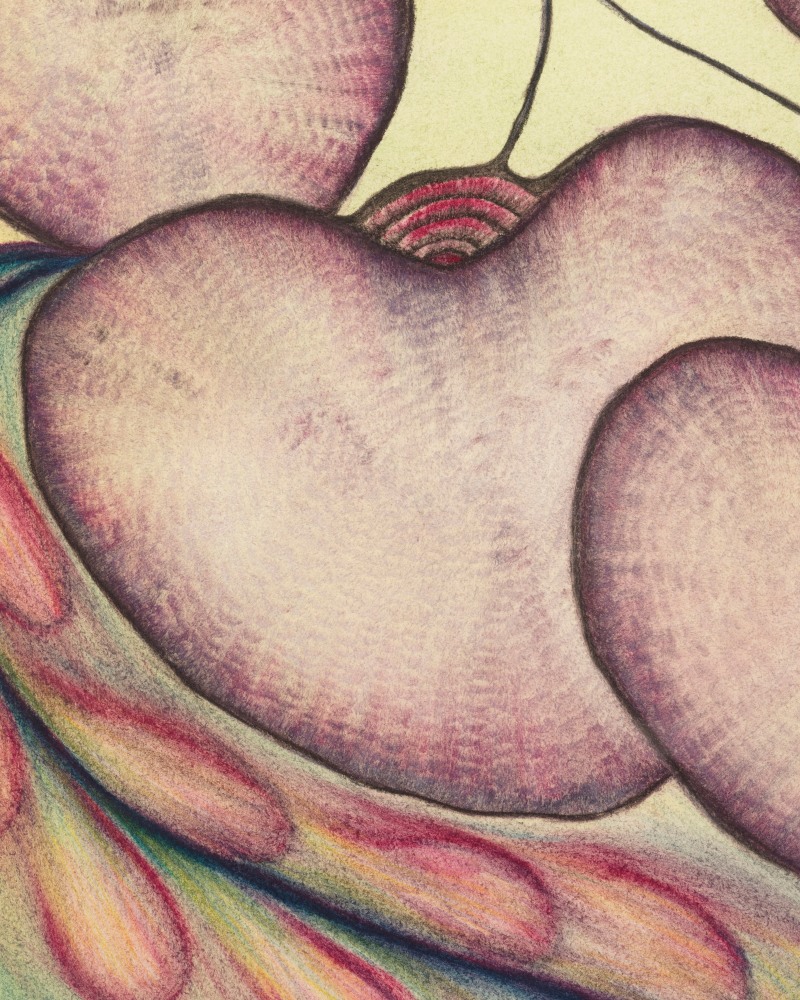 Lesley Vance &amp; Anna Zem&aacute;nkov&aacute;