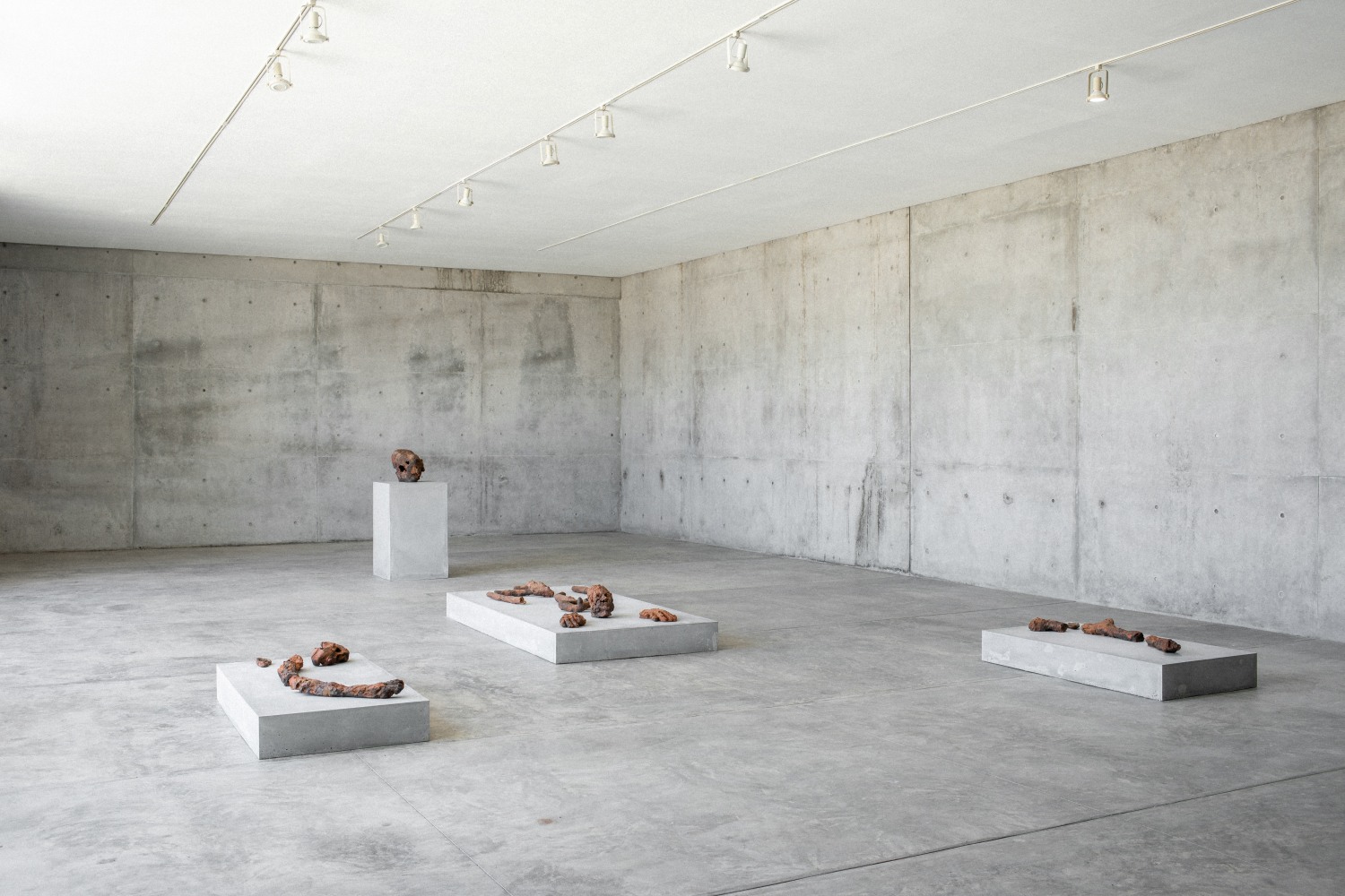 Huma Bhabha,&amp;nbsp;February 12 &amp;ndash; December 31, 2022, Fundaci&amp;oacute;n Casa Wabi,&amp;nbsp;Puerto Escondido,&amp;nbsp;Oaxaca, Mexico,&amp;nbsp;Installation&amp;nbsp;view