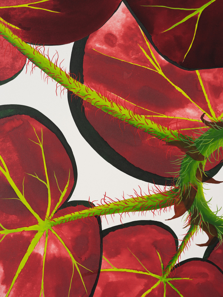 Art Basel OVR: Miami Beach