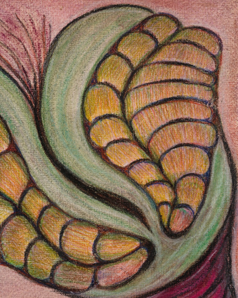 Lesley Vance &amp; Anna Zem&aacute;nkov&aacute;