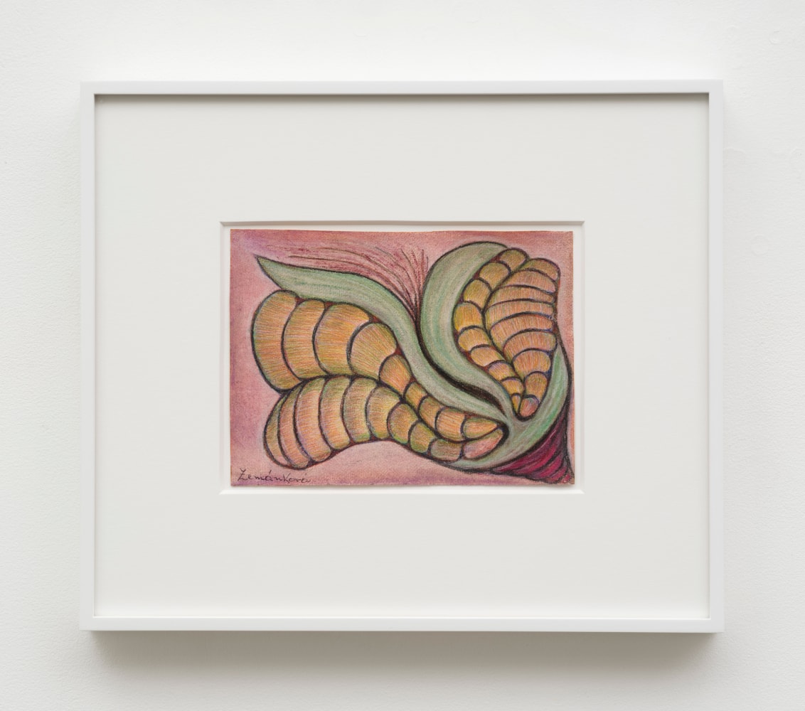 Lesley Vance &amp; Anna Zem&aacute;nkov&aacute;