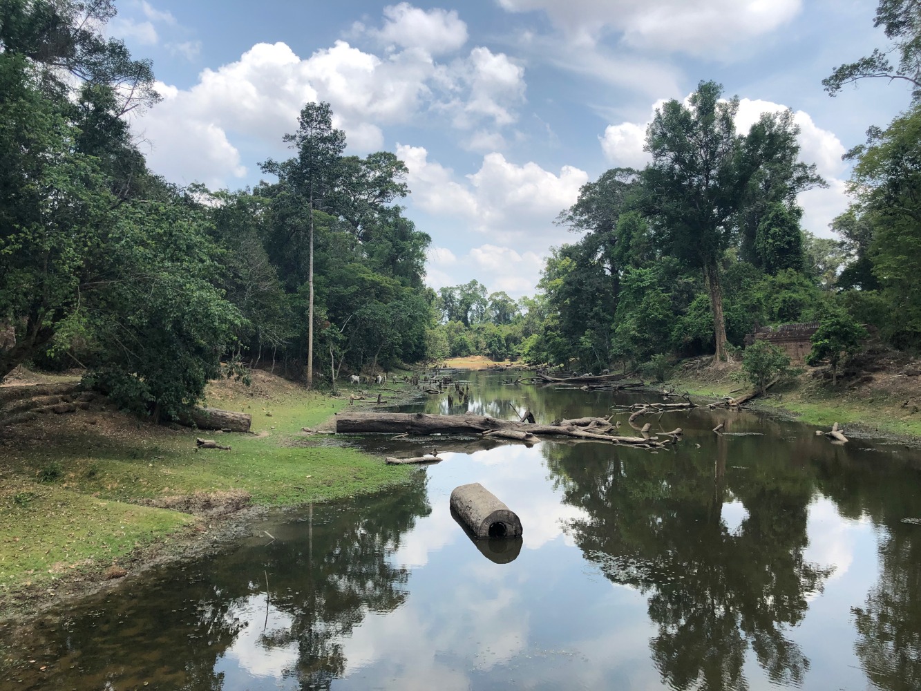 Outside Preah Khan Temple, Siem Reap, Cambodia. Photo: Matthew Brannon, 2019