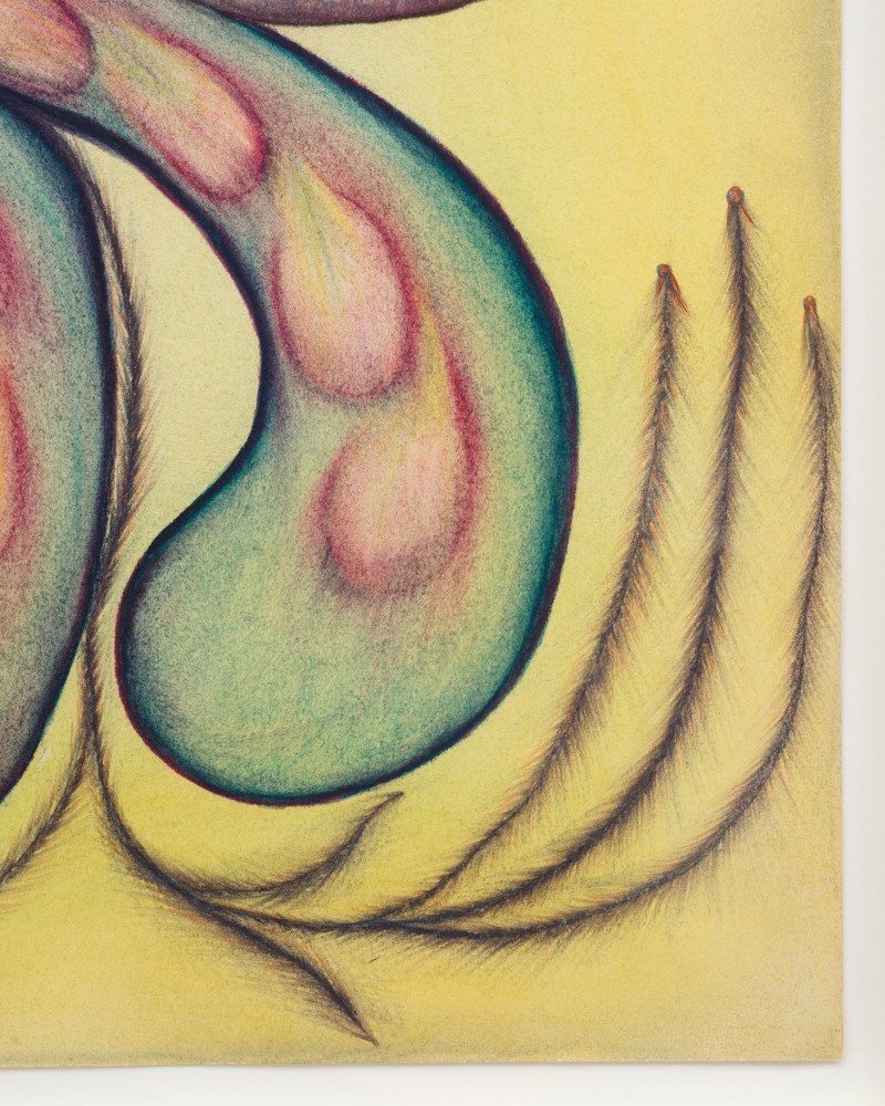 Lesley Vance &amp; Anna Zem&aacute;nkov&aacute;