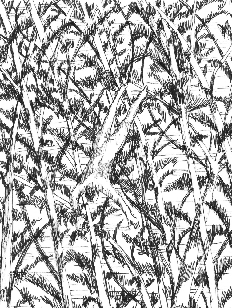 July 6, 2016

2016

sakura ink on paper

8&amp;quot; x 6&amp;quot;

ARD070616
