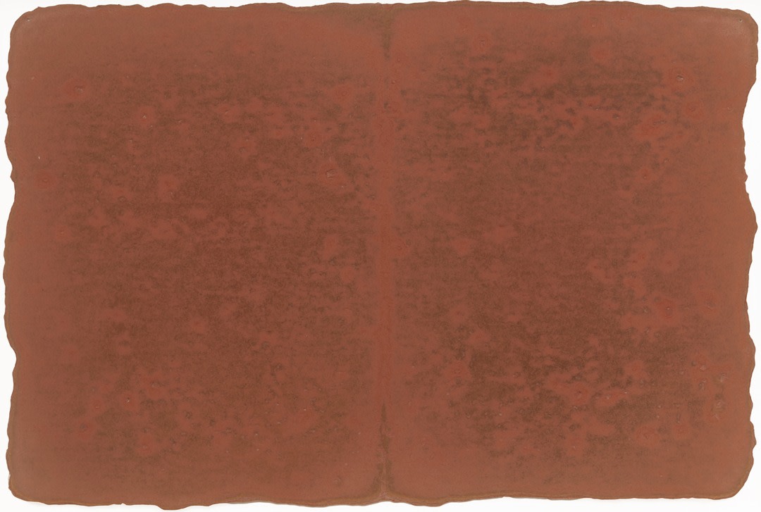 Small Ledger: Near Town Creek Mound, North Carolina, 1980