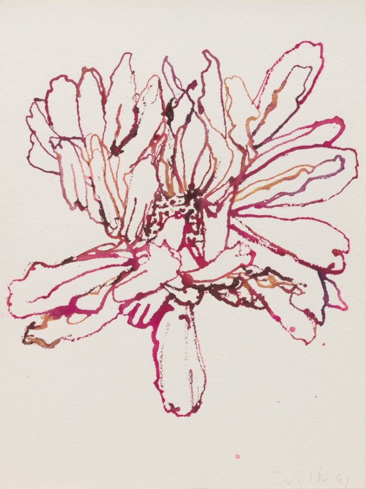 Untitled, 1991