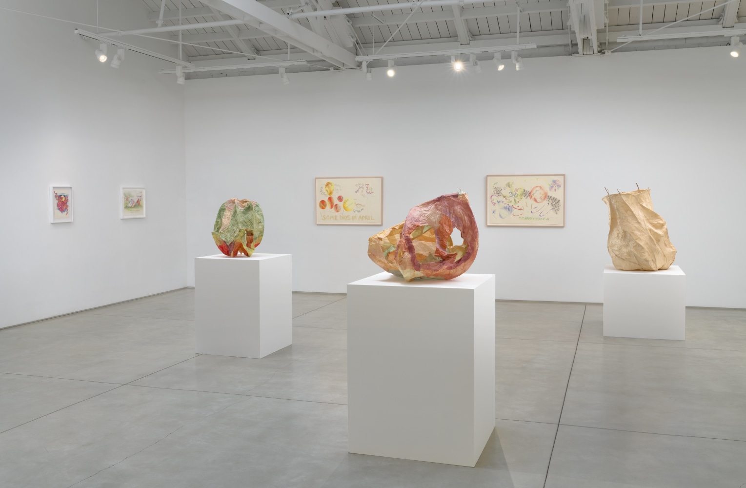 Installation view of Rosemary Mayer: Noon Has No Shadows 1