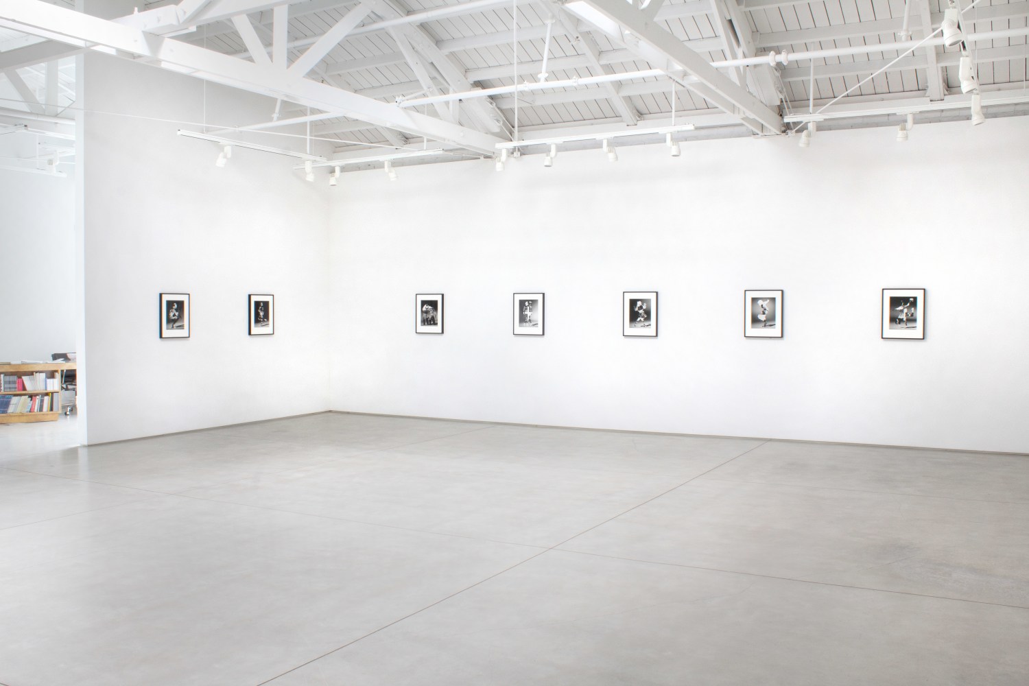 Installation view of Matt Lipps: The Body Wants to Live​​​​​​​, 2020