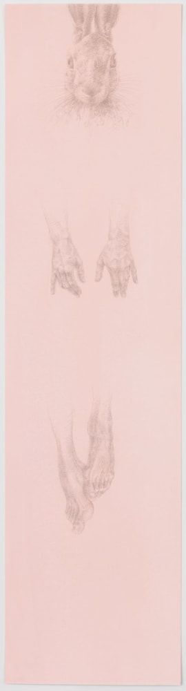 A drawing including the head of a hare and floating human hands and feet