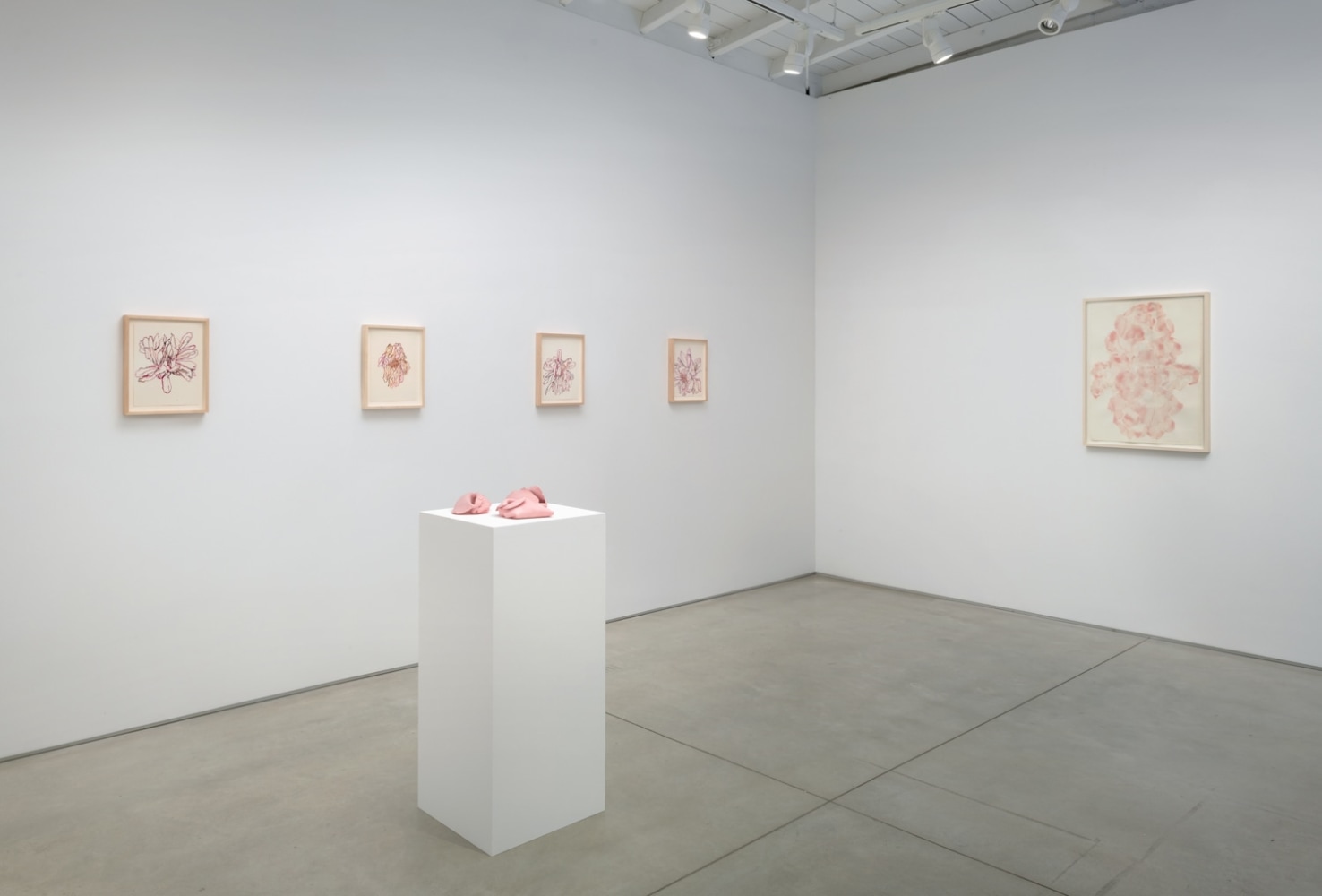 Installation view of Hannah Wilke Flowers​​​​​​​, 2023