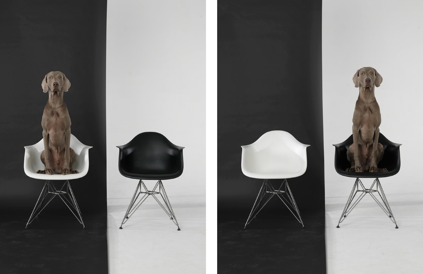 Left Right Black White, 2015