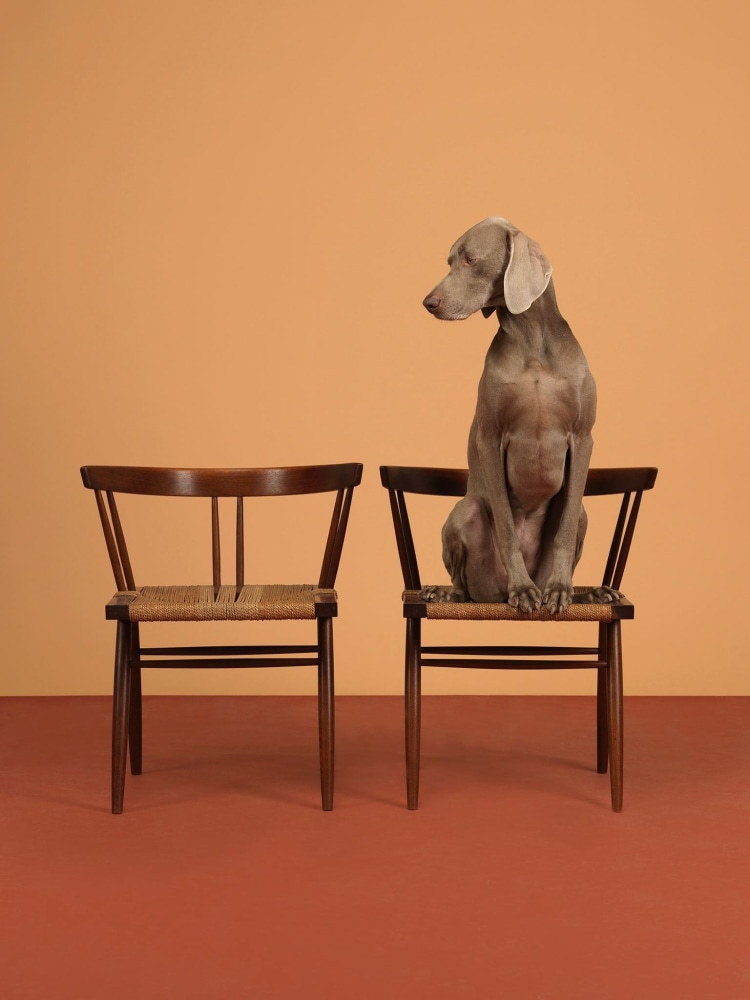 One On, 2015
