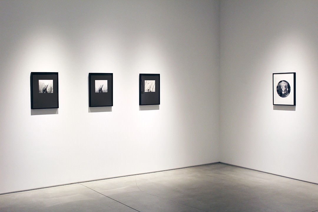 Harry Callahan &amp; Robert Heinecken Figures in Transformation​, installation view