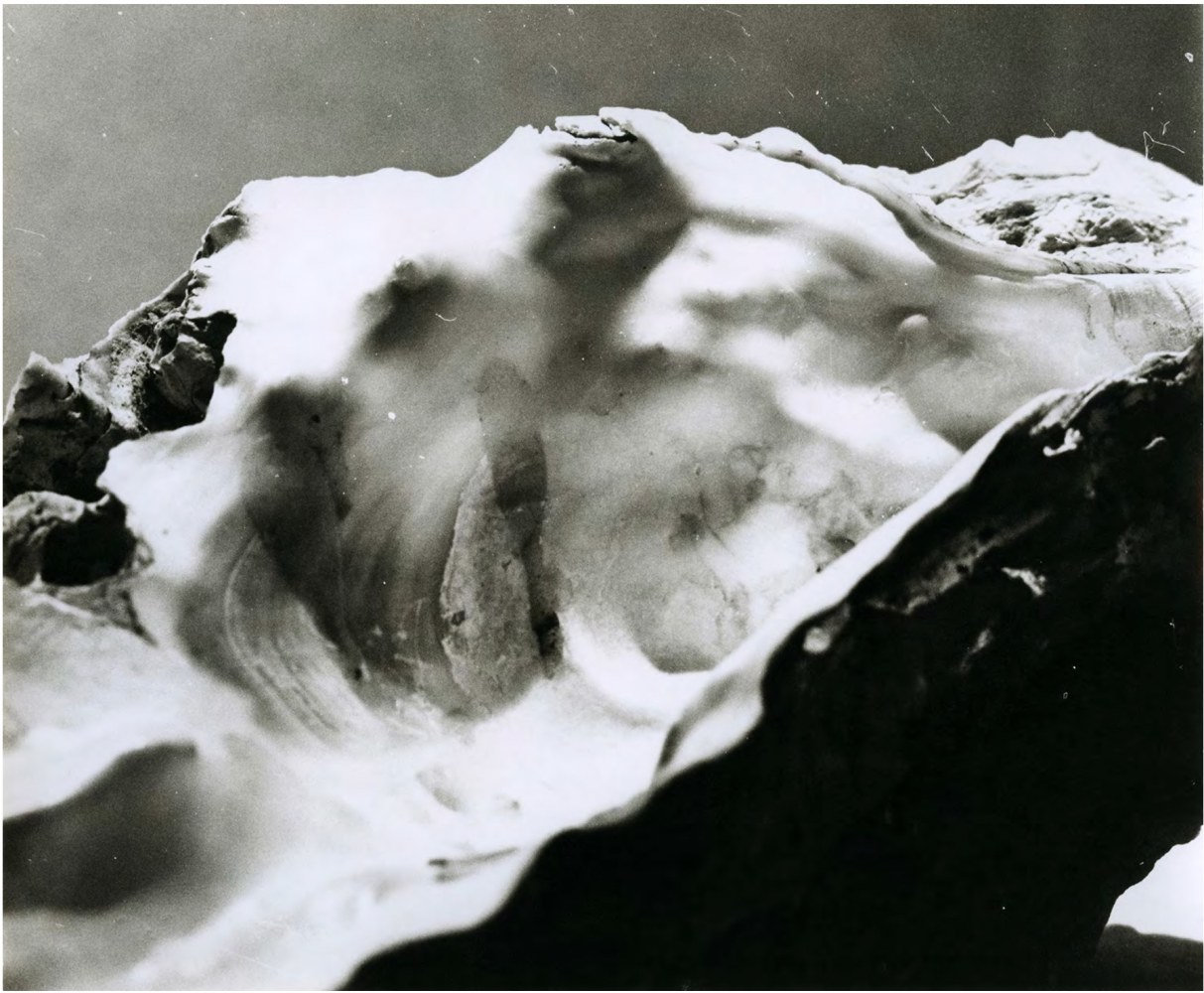 Untitled, 1972