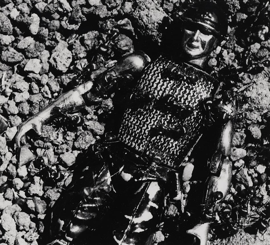 David Wojnarowicz  Untitled (Control) from the Ant Series, 1988-89