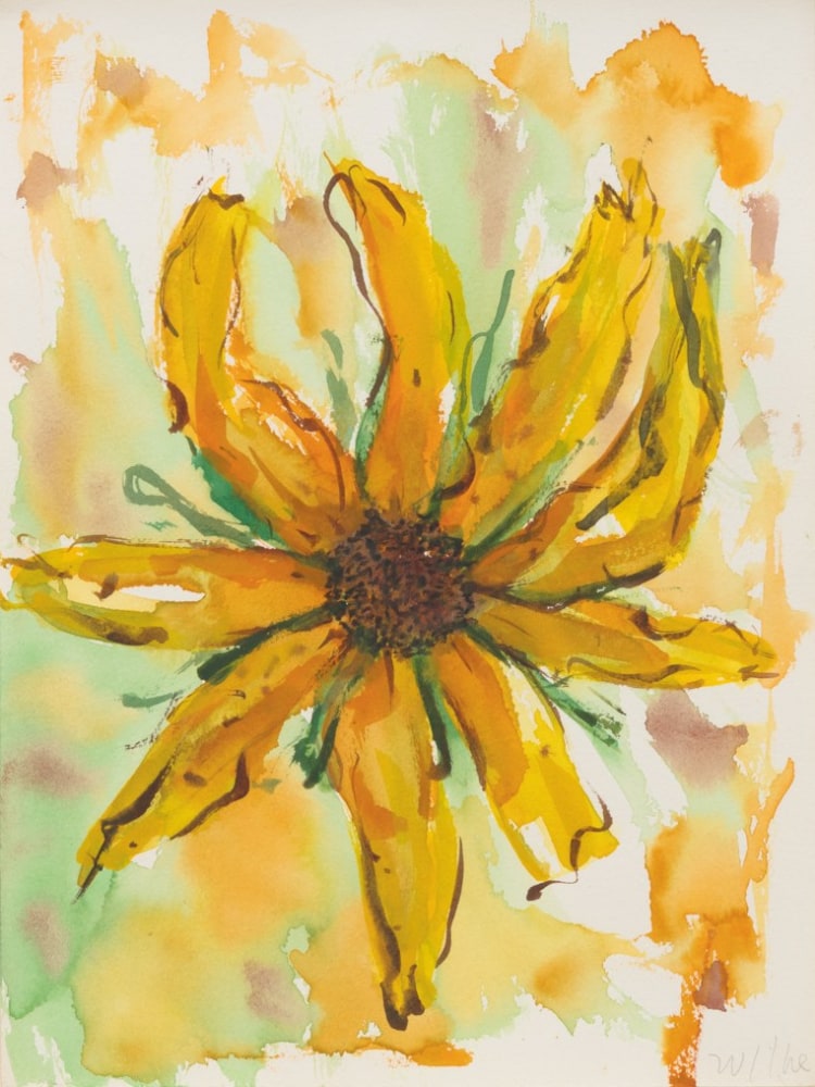 Untitled, n.d.