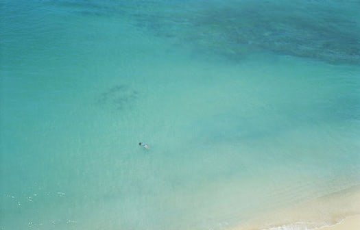 A photograph by Richard Misrach (Untitled)