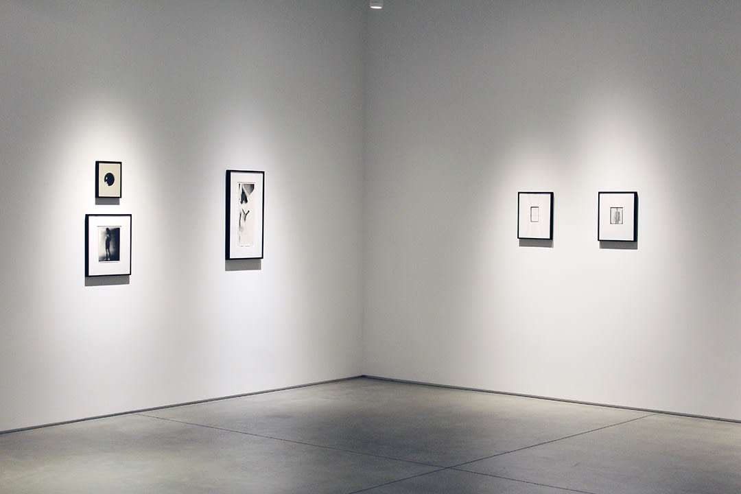 Harry Callahan &amp; Robert Heinecken Figures in Transformation​, installation view