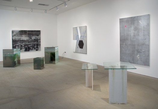 Skin Jobs​, installation view