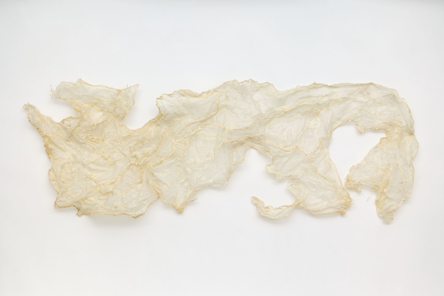 A work by Rosemary Mayer titled, &quot;Flotsam 6,&quot; 1993