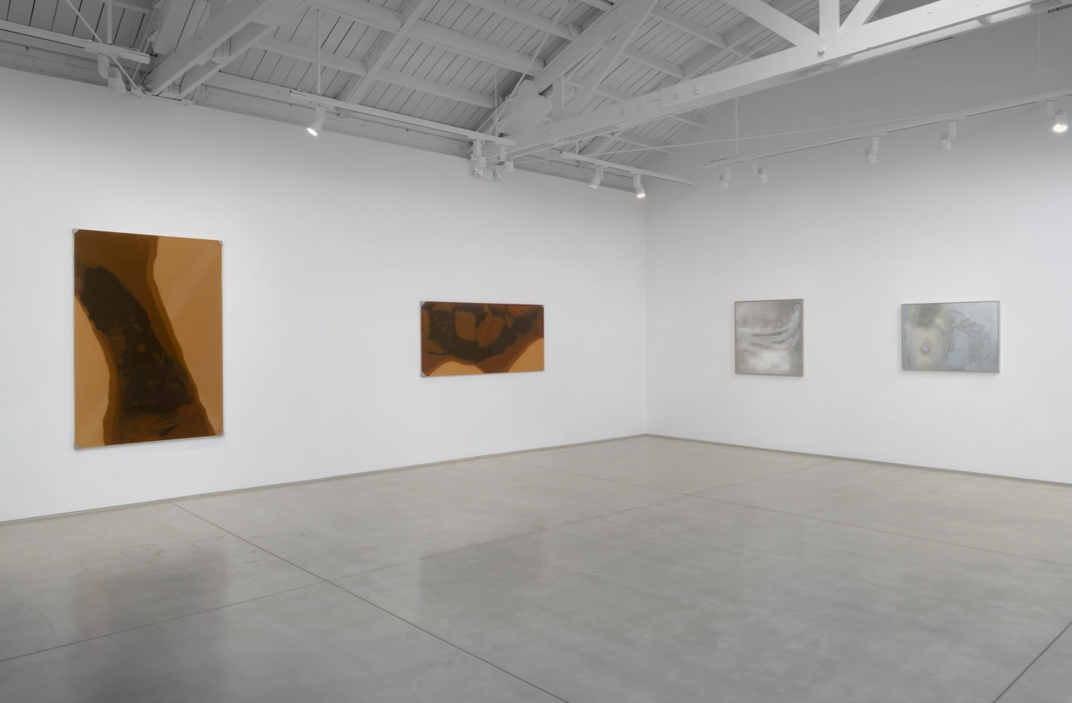 Installation image of Helène Aylon​​​​​​​, 2020