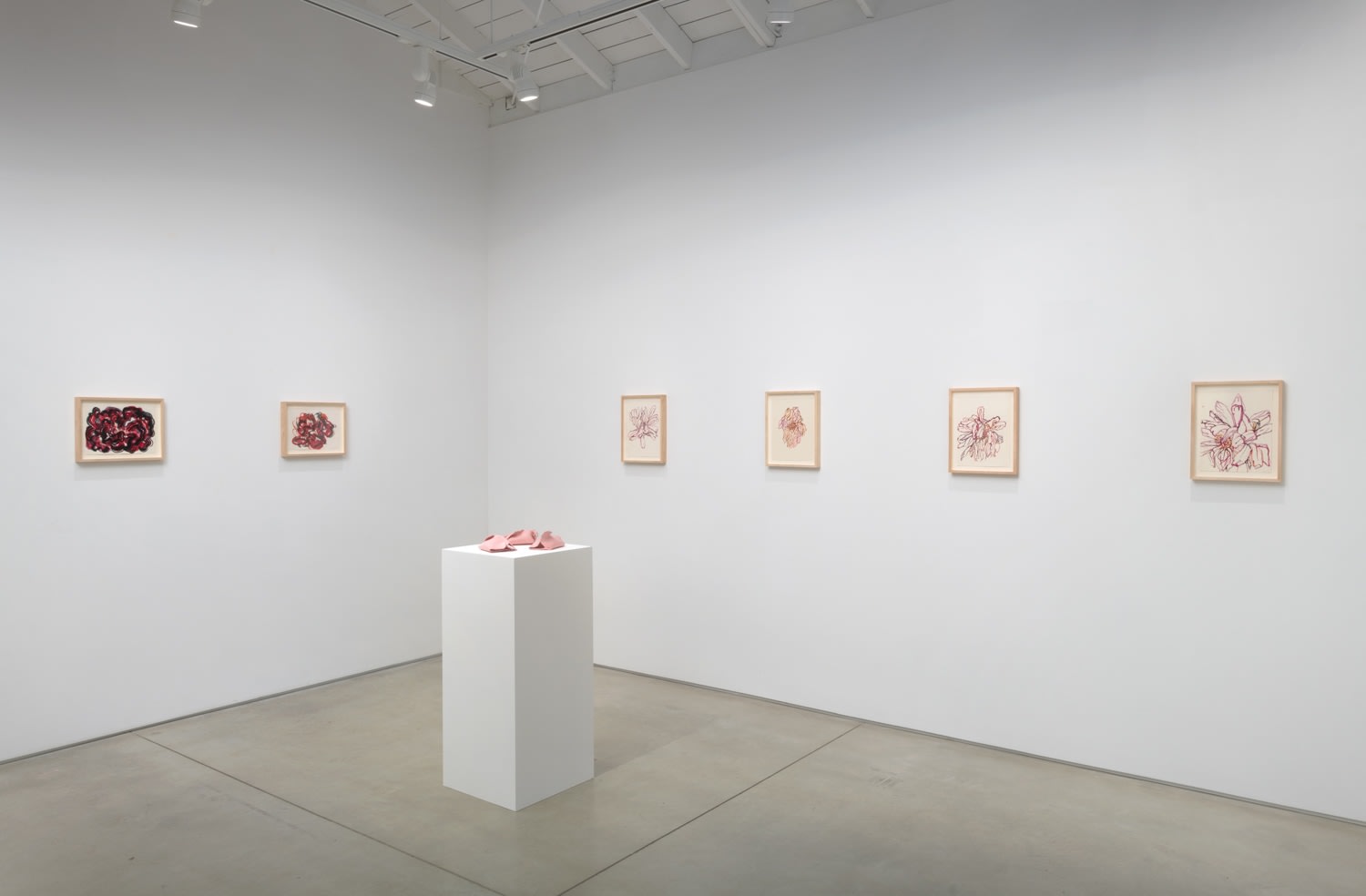 Installation view of Hannah Wilke Flowers​​​​​​​, 2023