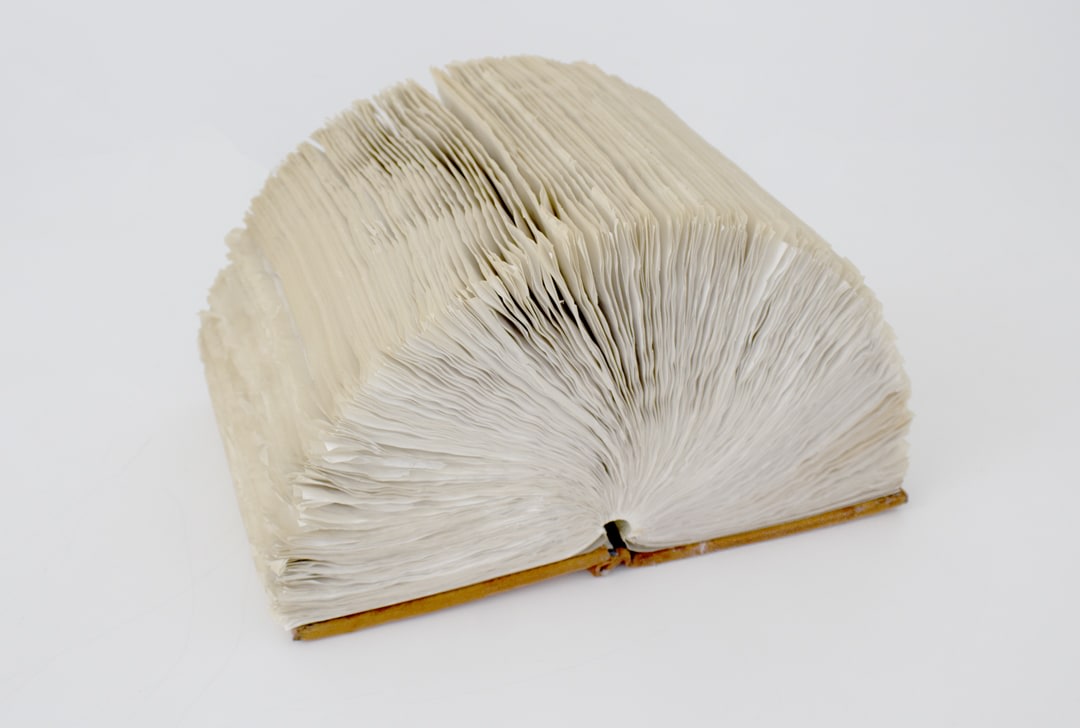 Helène Aylon  The Book That Will Not Close