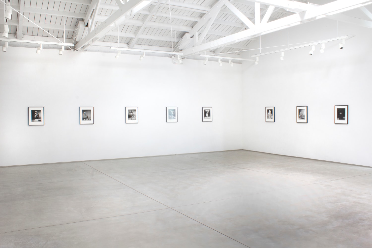 Installation view of Matt Lipps: The Body Wants to Live​​​​​​​, 2020