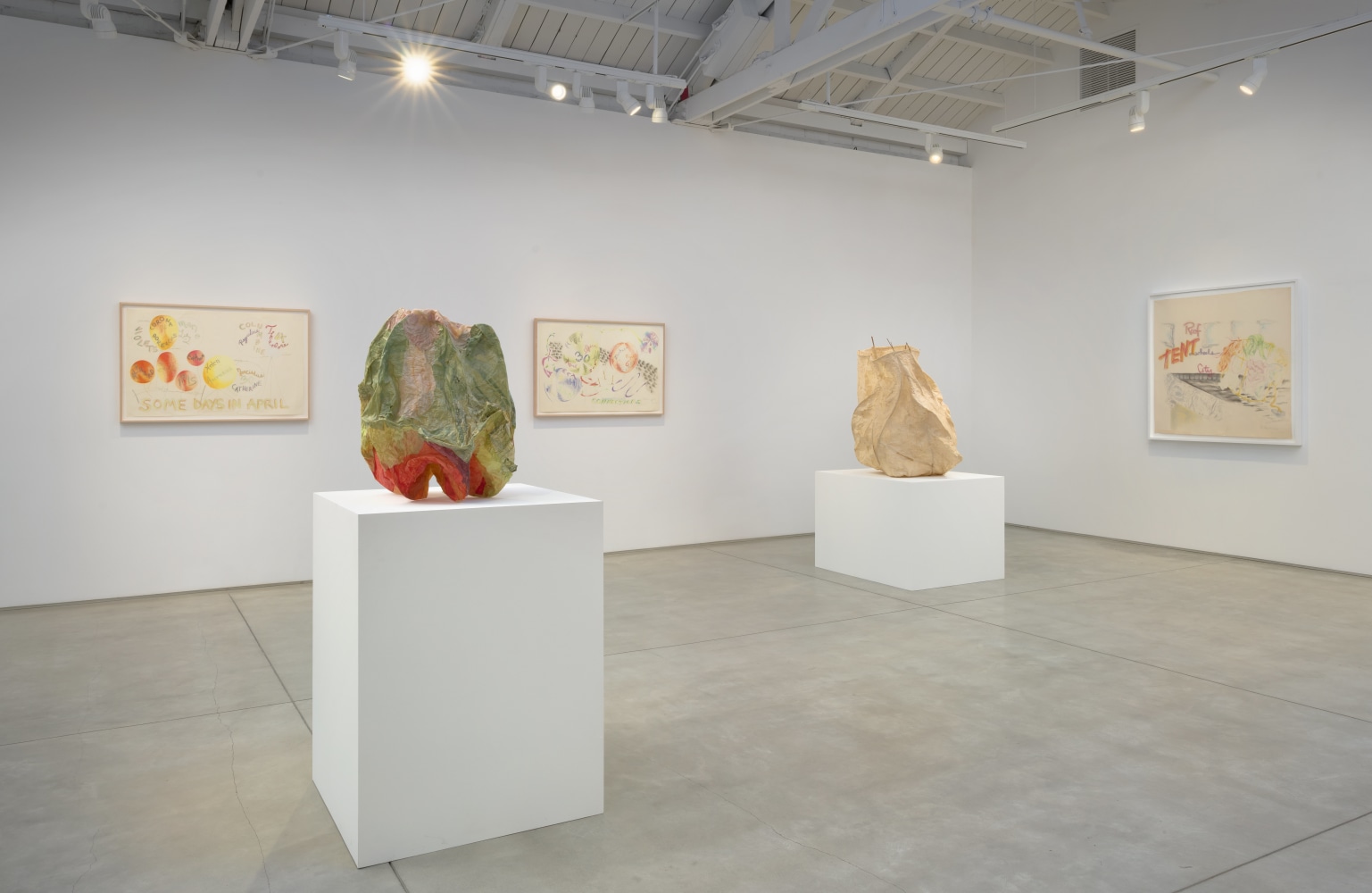 Installation view of Rosemary Mayer: Noon Has No Shadows 2