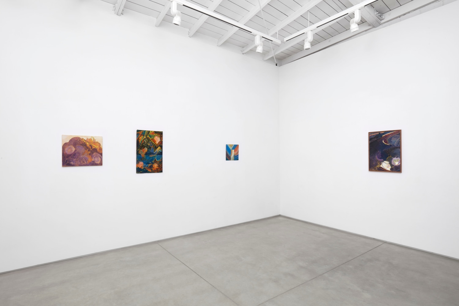 Installation view of Tyler Vlahovich​​​​​​​, 2021