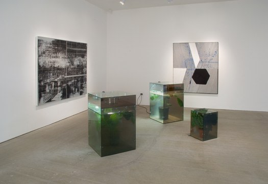 Skin Jobs​, installation view
